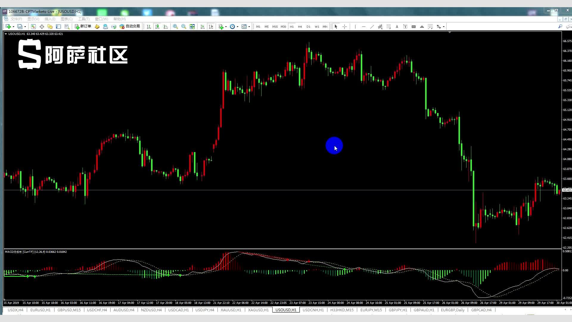 2025年桂平麻垌荔枝嘉年华系列活动开幕