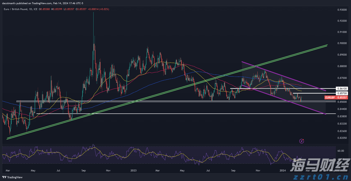 解锁新市场!梅州观赏鱼 “游” 进马来西亚