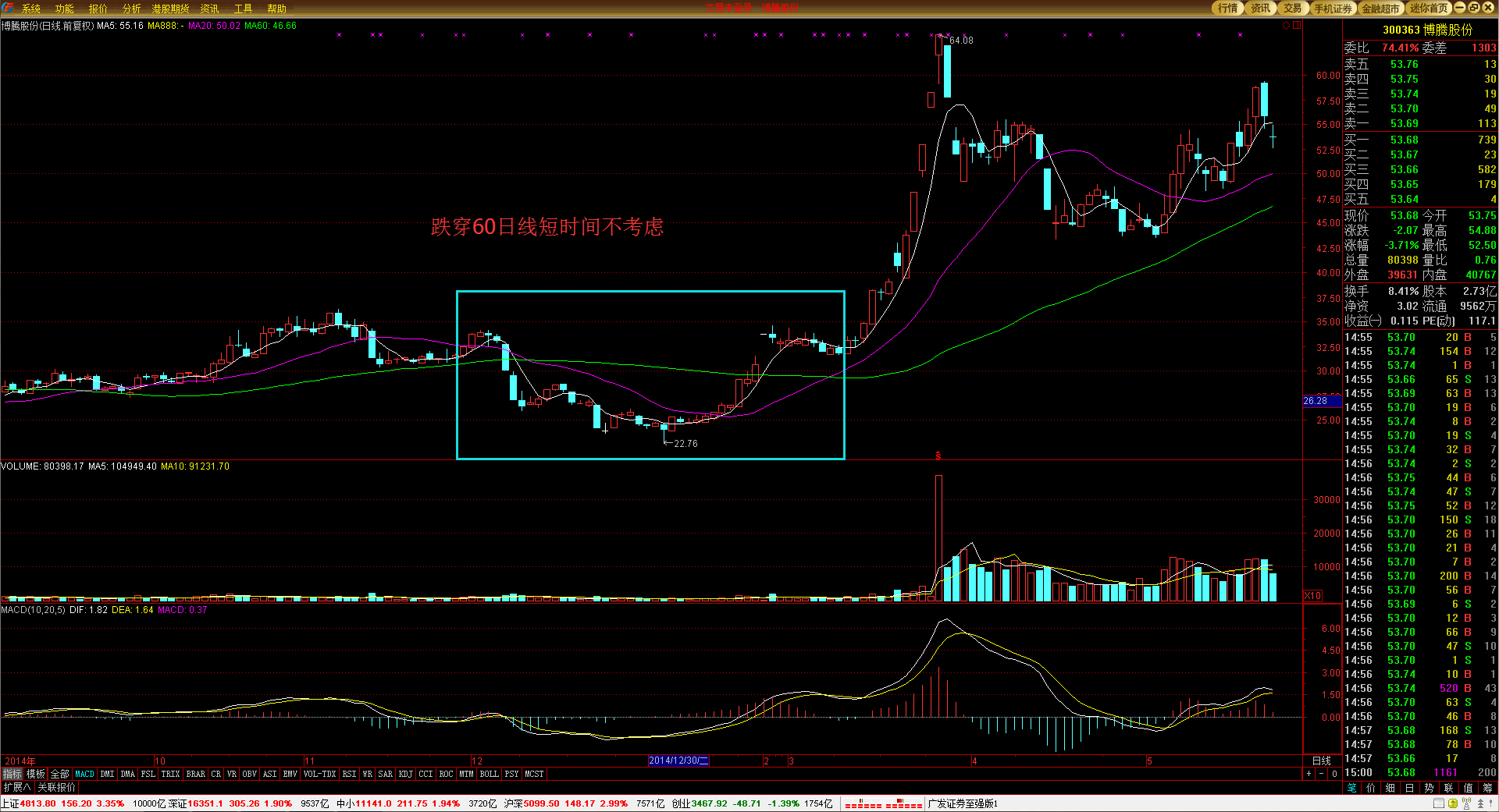 “稀客”紫背椋鸟到访福建