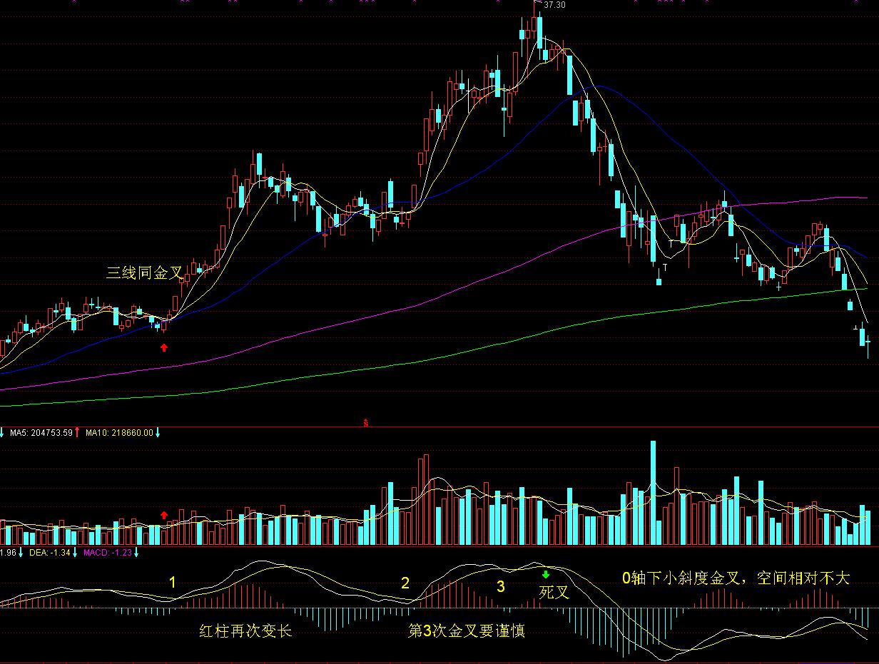 好吃好玩好逛好红火，“潮聚七夕·浪漫珠海”2025珠海绿美集市开幕迎客