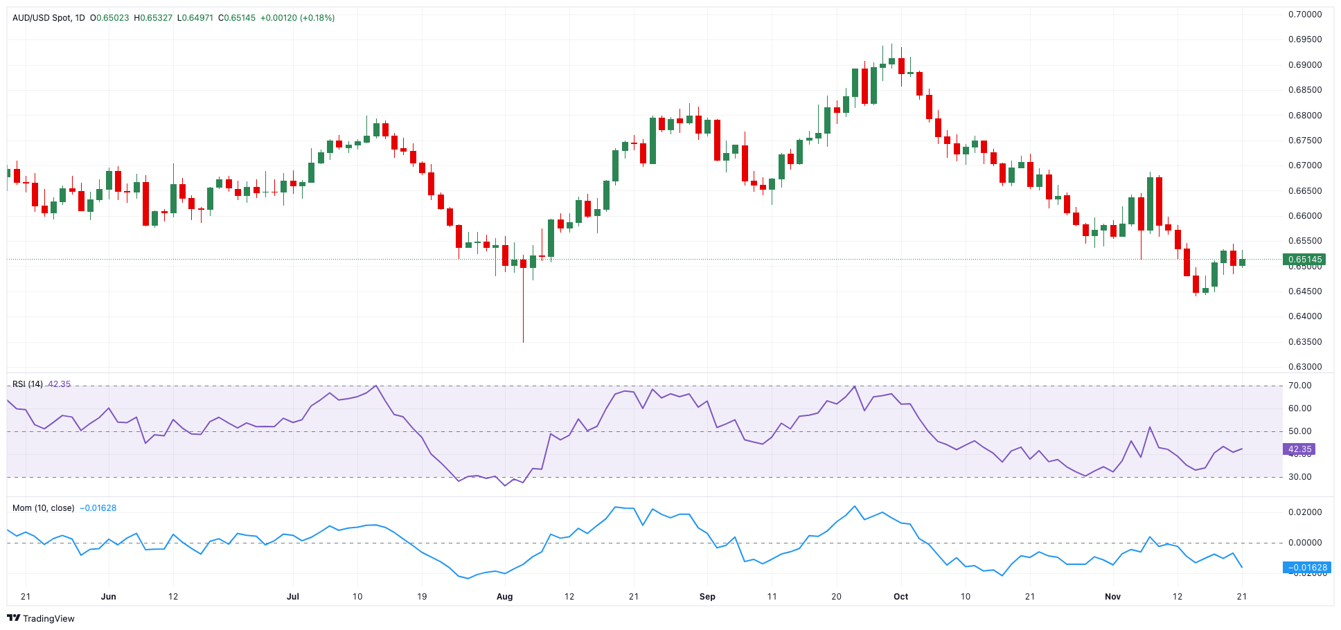 “一扩两稳”目标坚定 真抓实干服务发展——访市商务局党组书记、局长张美玲